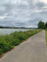 Schöner Radweg am Rhein